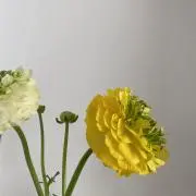 さと✲プロフ必読