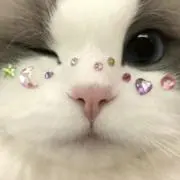 みにの画像