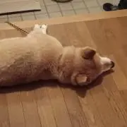 断捨離します‼️の画像