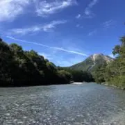 Dの画像