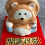 たぬ吉ショップの画像