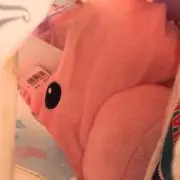ハム