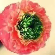 ●TOTONONO●の画像