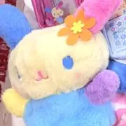 ぴのの画像