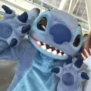 すの画像