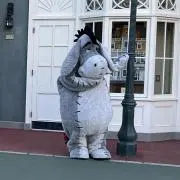 よっしーの画像