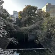 FRの画像