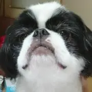 新垣かずやの画像