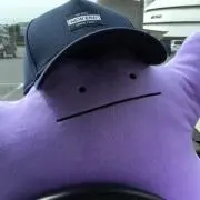 めたもん