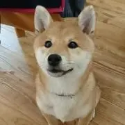 むぎ