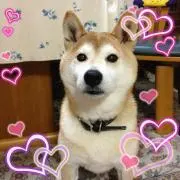 ククリン