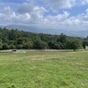 りいなの画像