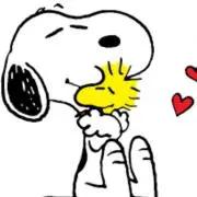 Happy.ys