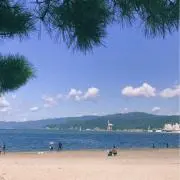 サリの画像