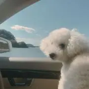 しのの画像