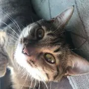 ひーちゃんの画像