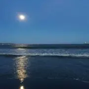 まろかんの画像