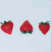 るるの画像