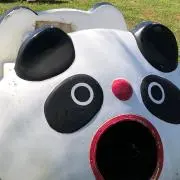 ayaの画像