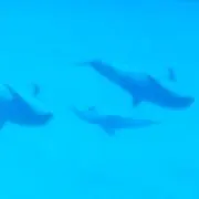 きらきら