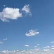 とまとの画像