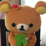 すーちゃんの画像
