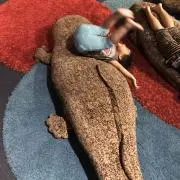 ちったん