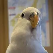 海の画像