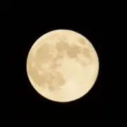 ゴリプロ