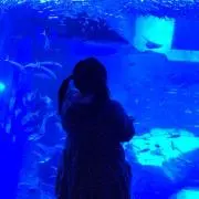 あみん[プロフ必読]の画像