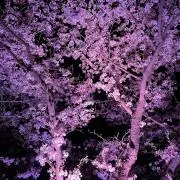 まる プロフィールご一読ください☺︎の画像