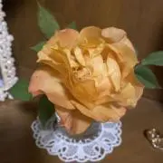 nanamamakaorinの画像