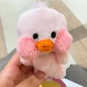 KANAMIの画像