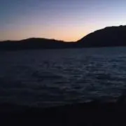 MS