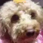 ちぃ〜プロフ参照後⚠️購入願います❣️