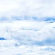 草木の画像