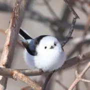 mkr_106の画像