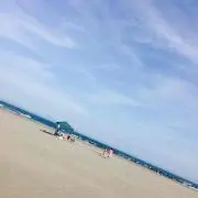 みく