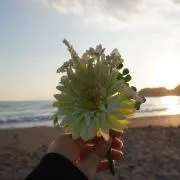 りーの画像