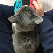 K...の画像