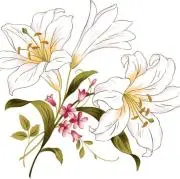 Lily♢子供服♢セール！おまとめ大歓迎の画像
