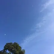 ユキの画像