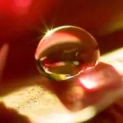 ニライの画像
