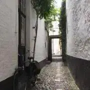 graceの画像