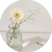 yn  〜夏物出品〜の画像