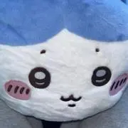 田中です【希少な服売ってます】の画像