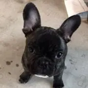 きょん
