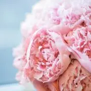 ちぃ♡の画像