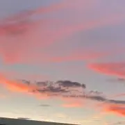 りんごの画像