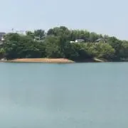 だい